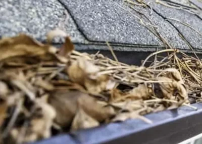 Excellent gutter maintenance